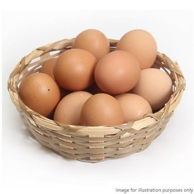 Free Range Eggs